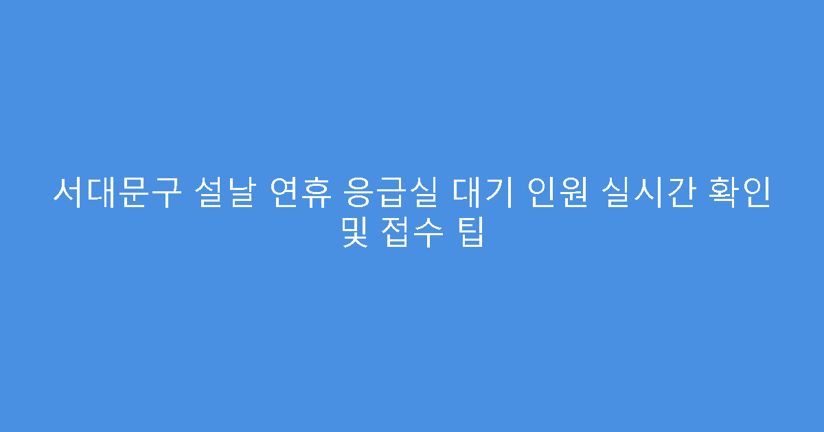 서대문구 설날 연휴 응급실 대기 인원 실시간 확인 및 접수 팁
