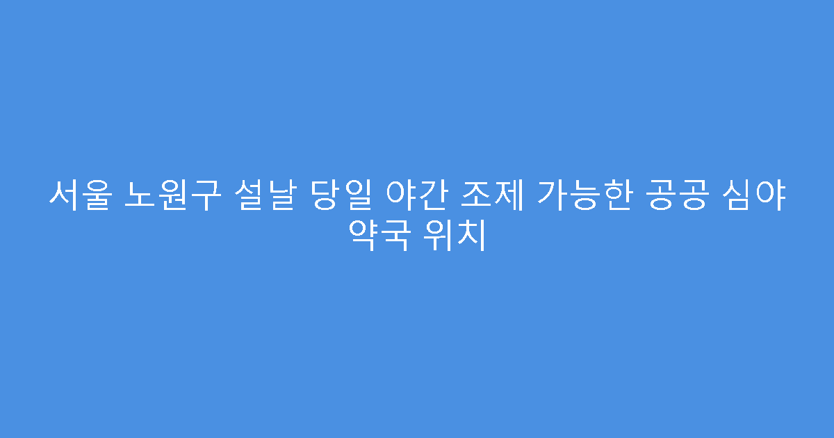서울 노원구 설날 당일 야간 조제 가능한 공공 심야 약국 위치