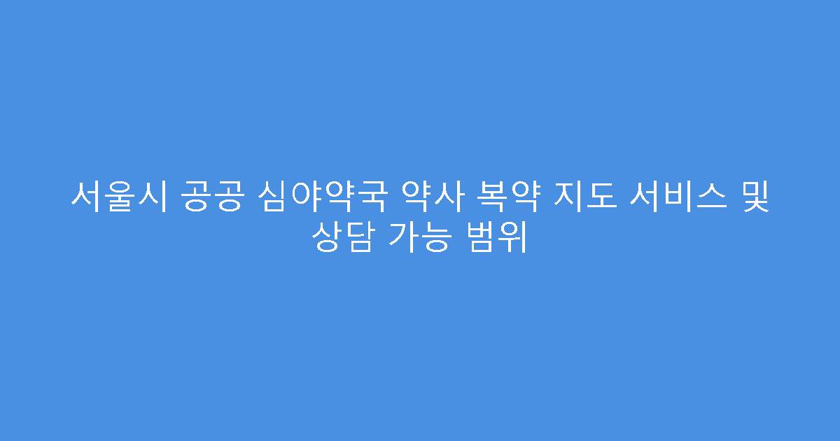 서울시 공공 심야약국 약사 복약 지도 서비스 및 상담 가능 범위