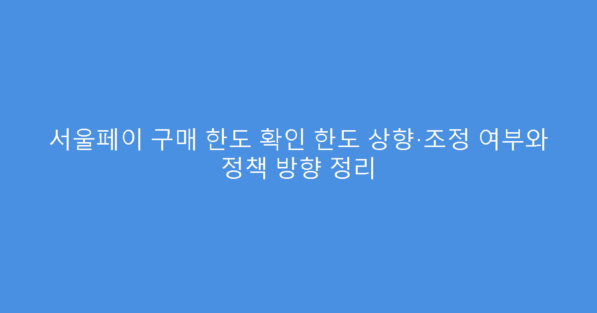 서울페이 구매 한도 확인 한도 상향·조정 여부와 정책 방향 정리