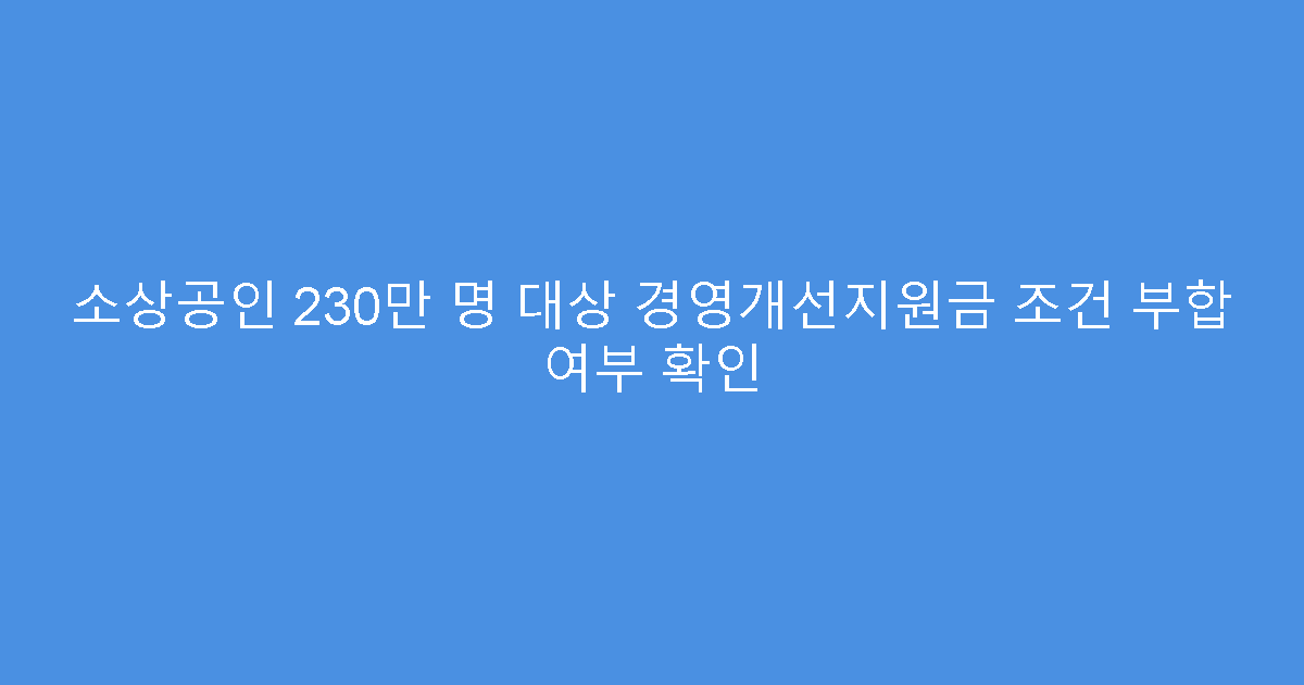 소상공인 230만 명 대상 경영개선지원금 조건 부합 여부 확인