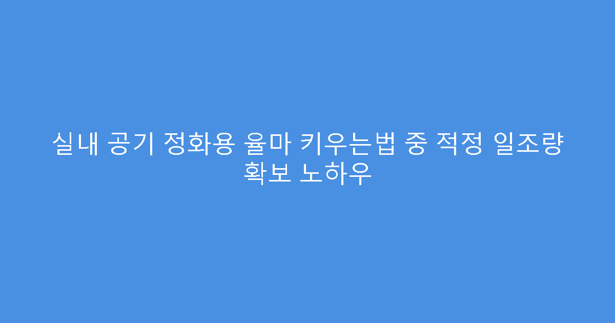 실내 공기 정화용 율마 키우는법 중 적정 일조량 확보 노하우