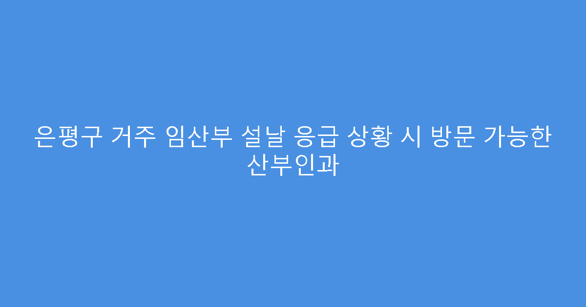 은평구 거주 임산부 설날 응급 상황 시 방문 가능한 산부인과