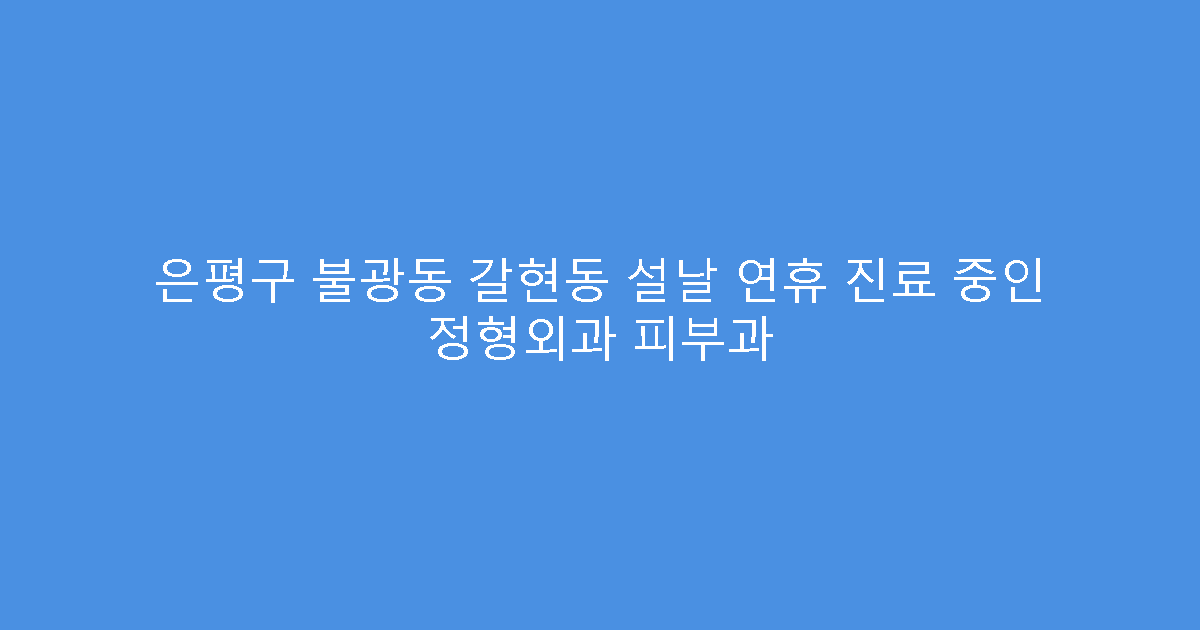 은평구 불광동 갈현동 설날 연휴 진료 중인 정형외과 피부과