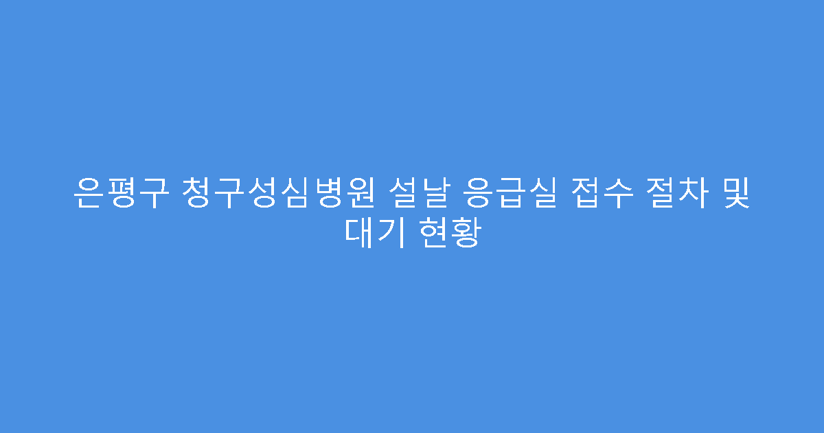 은평구 청구성심병원 설날 응급실 접수 절차 및 대기 현황