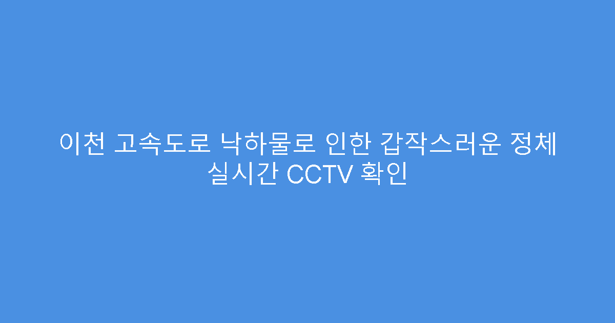 이천 고속도로 낙하물로 인한 갑작스러운 정체 실시간 CCTV 확인