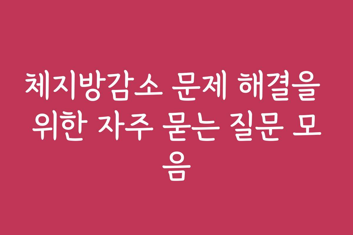 체지방감소 문제 해결을 위한 자주 묻는 질문 모음