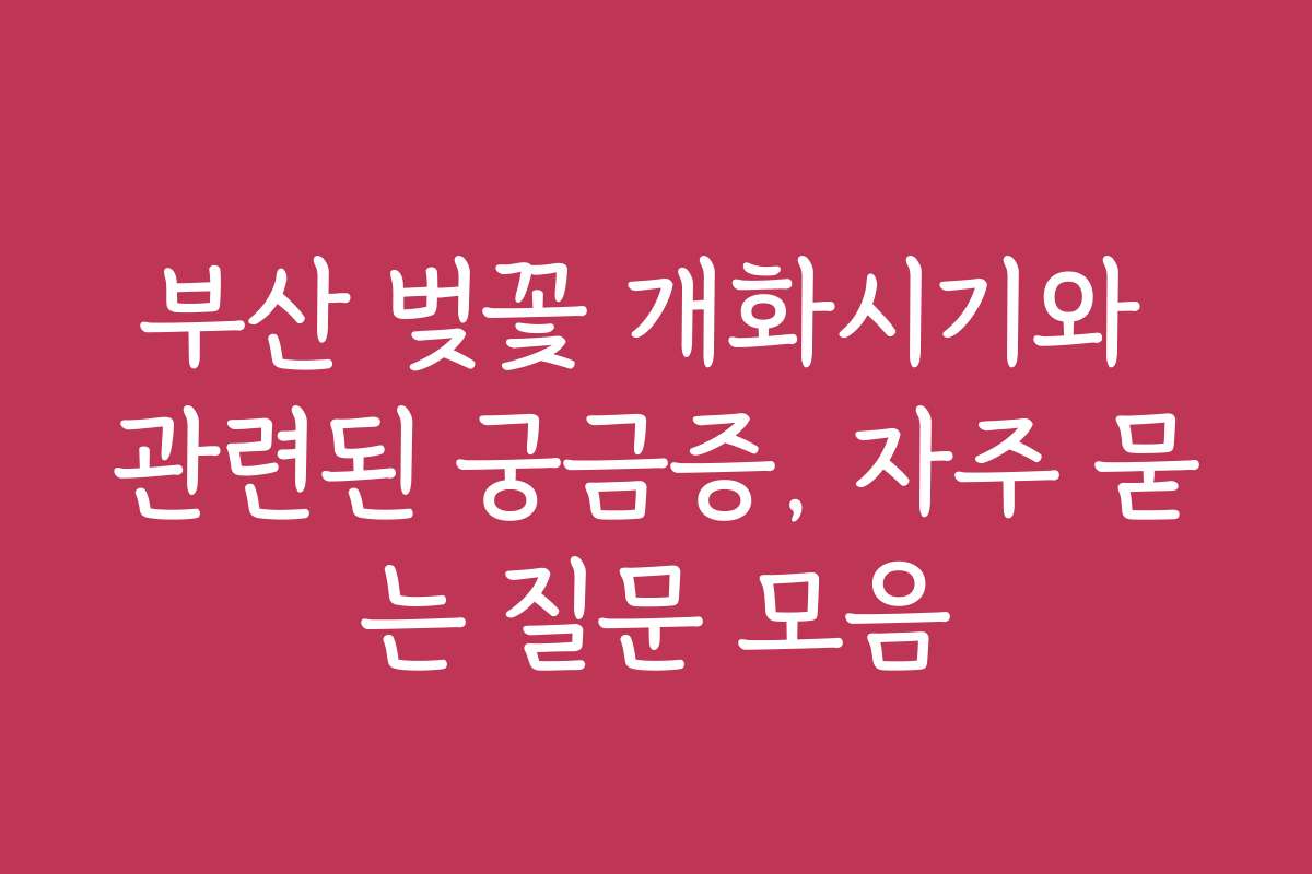 부산 벚꽃 개화시기와 관련된 궁금증, 자주 묻는 질문 모음