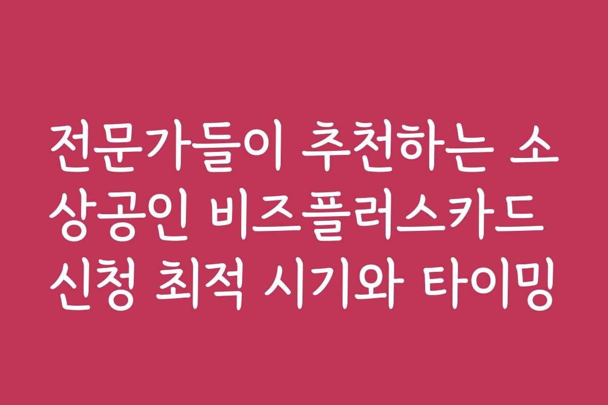 전문가들이 추천하는 소상공인 비즈플러스카드 신청 최적 시기와 타이밍