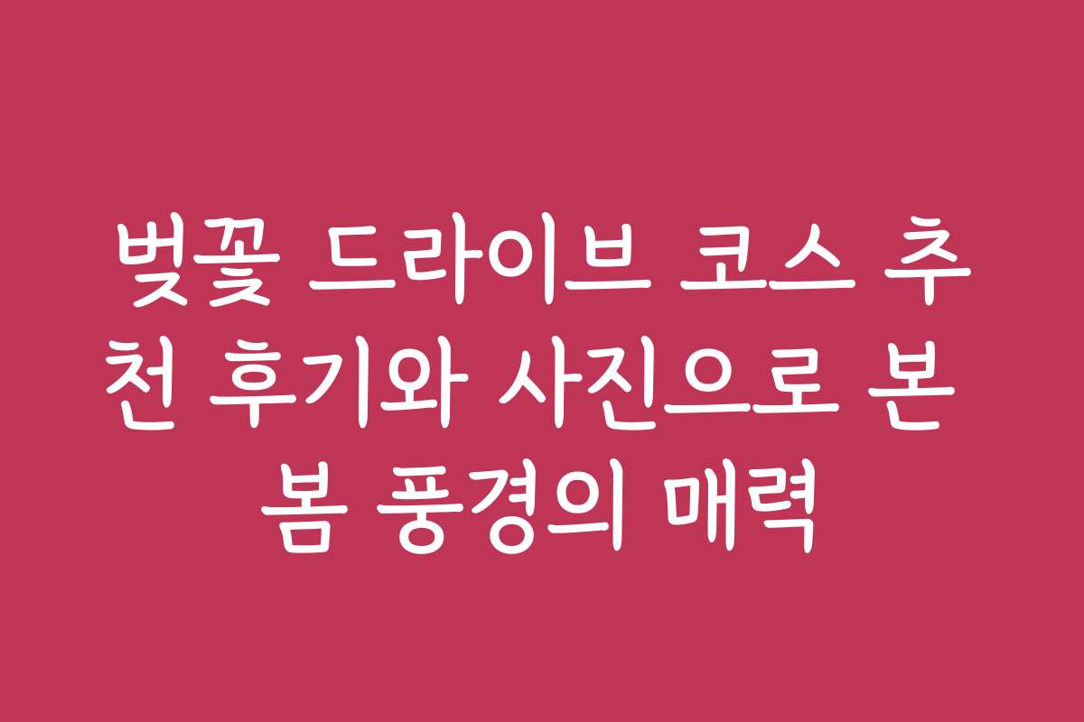 벚꽃 드라이브 코스 추천 후기와 사진으로 본 봄 풍경의 매력