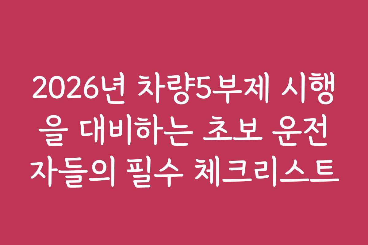 2026년 차량5부제 시행을 대비하는 초보 운전자들의 필수 체크리스트