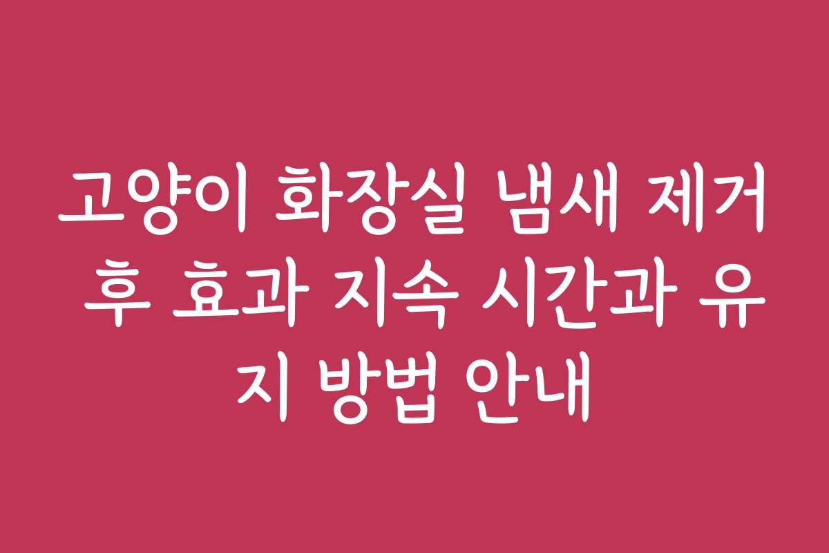 고양이 화장실 냄새 제거 후 효과 지속 시간과 유지 방법 안내
