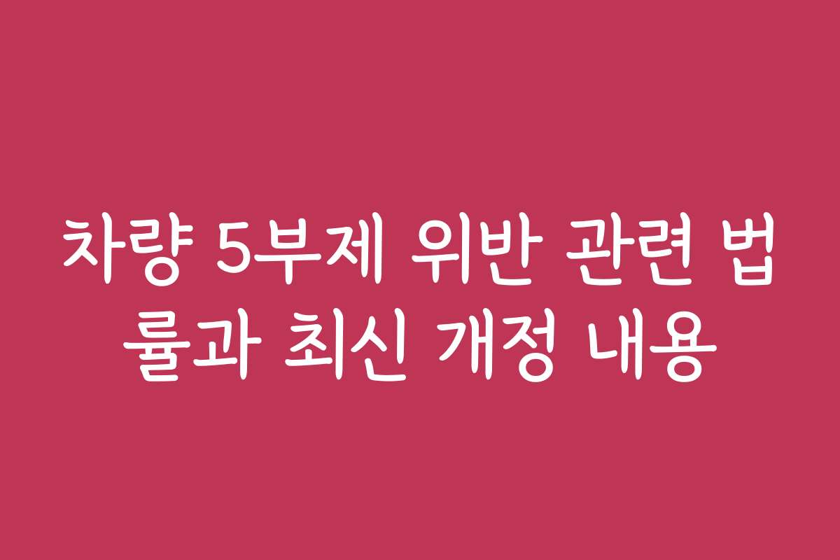 차량 5부제 위반 관련 법률과 최신 개정 내용