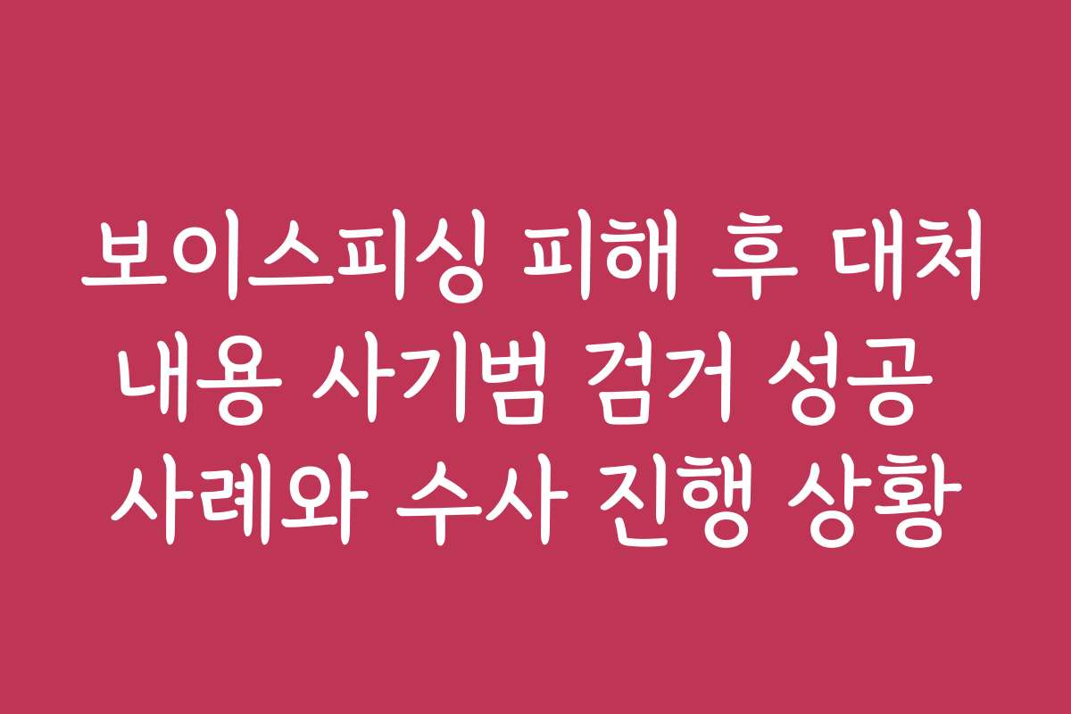 보이스피싱 피해 후 대처내용 사기범 검거 성공 사례와 수사 진행 상황