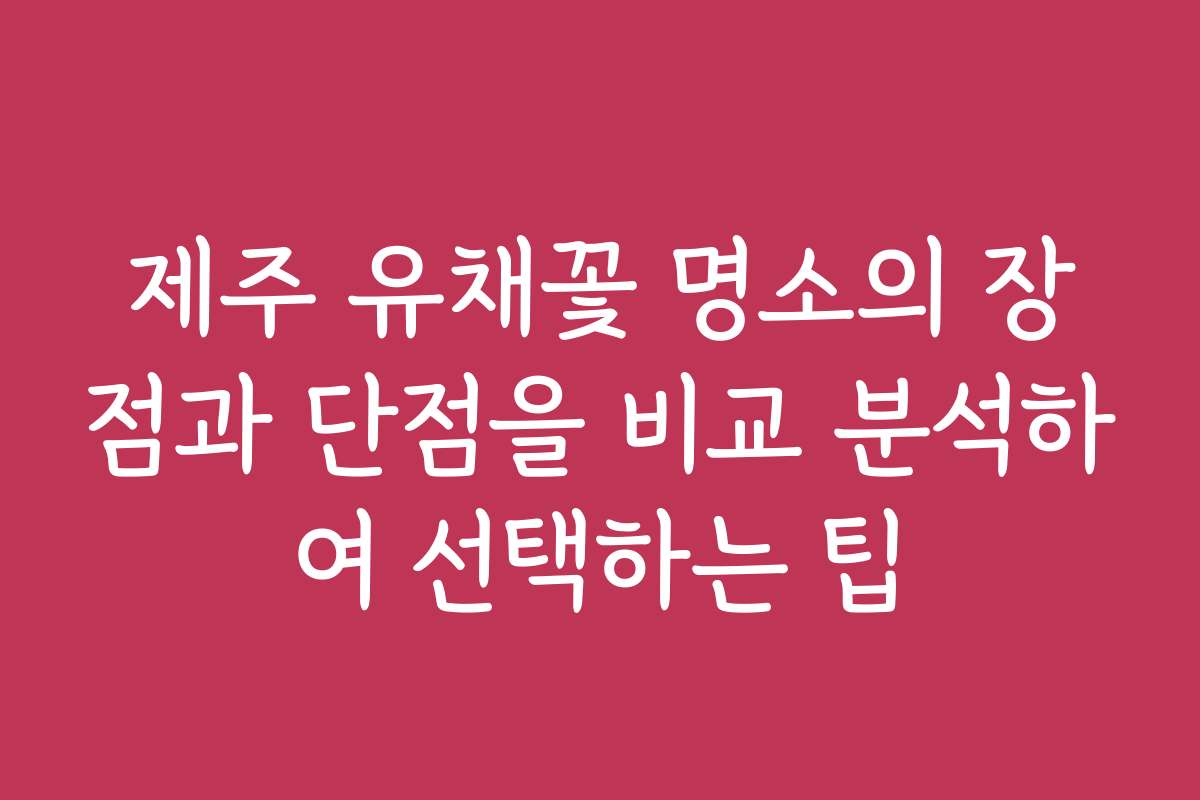 제주 유채꽃 명소의 장점과 단점을 비교 분석하여 선택하는 팁