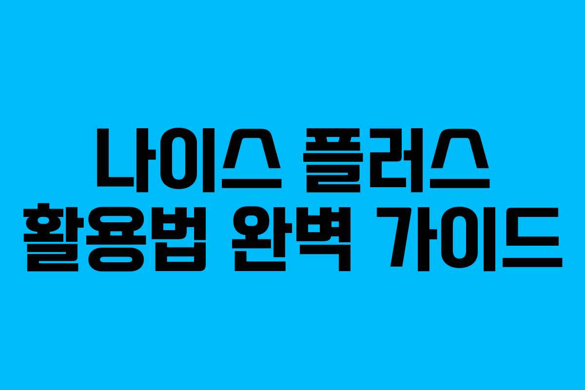나이스 플러스 활용법 완벽 가이드