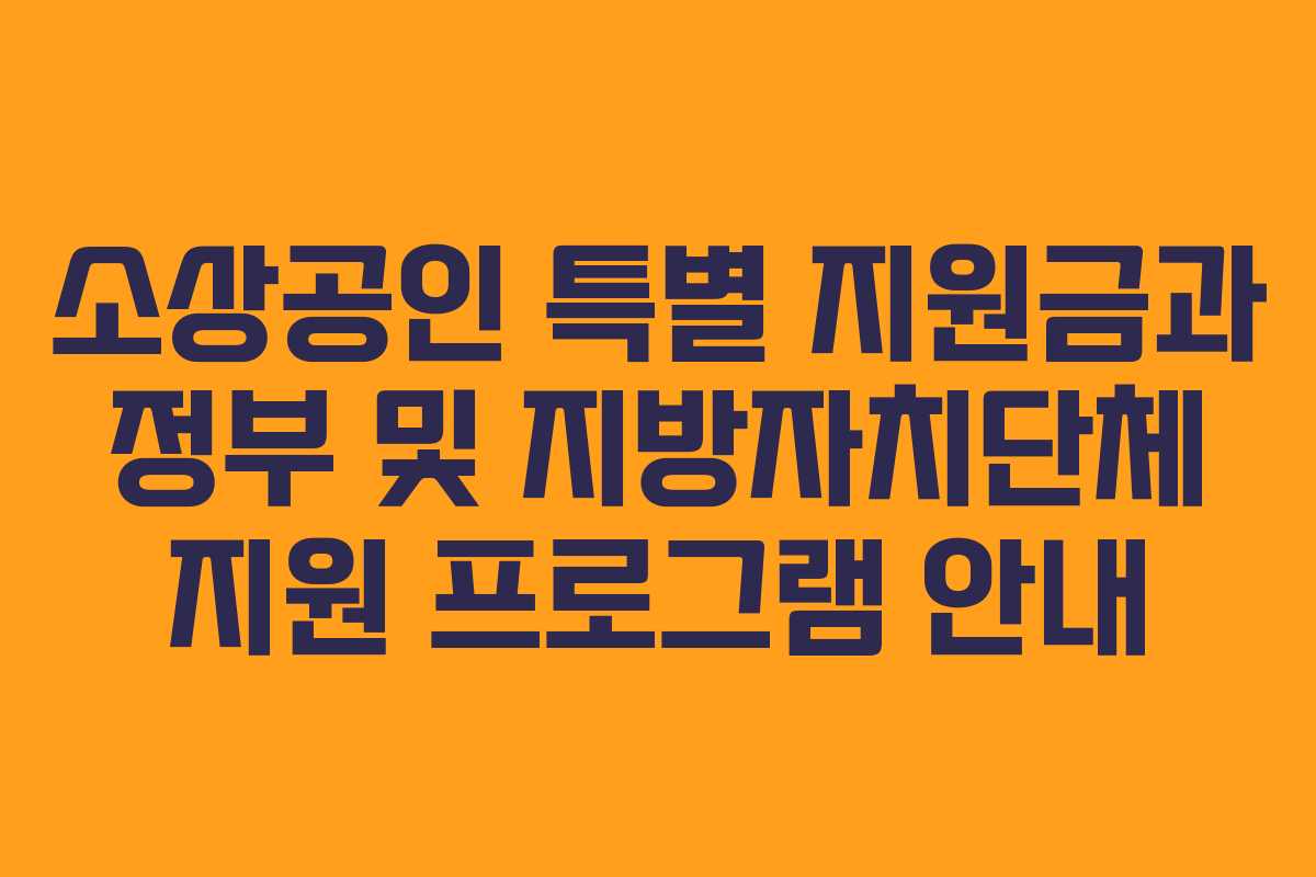 소상공인 특별 지원금과 정부 및 지방자치단체 지원 프로그램 안내
