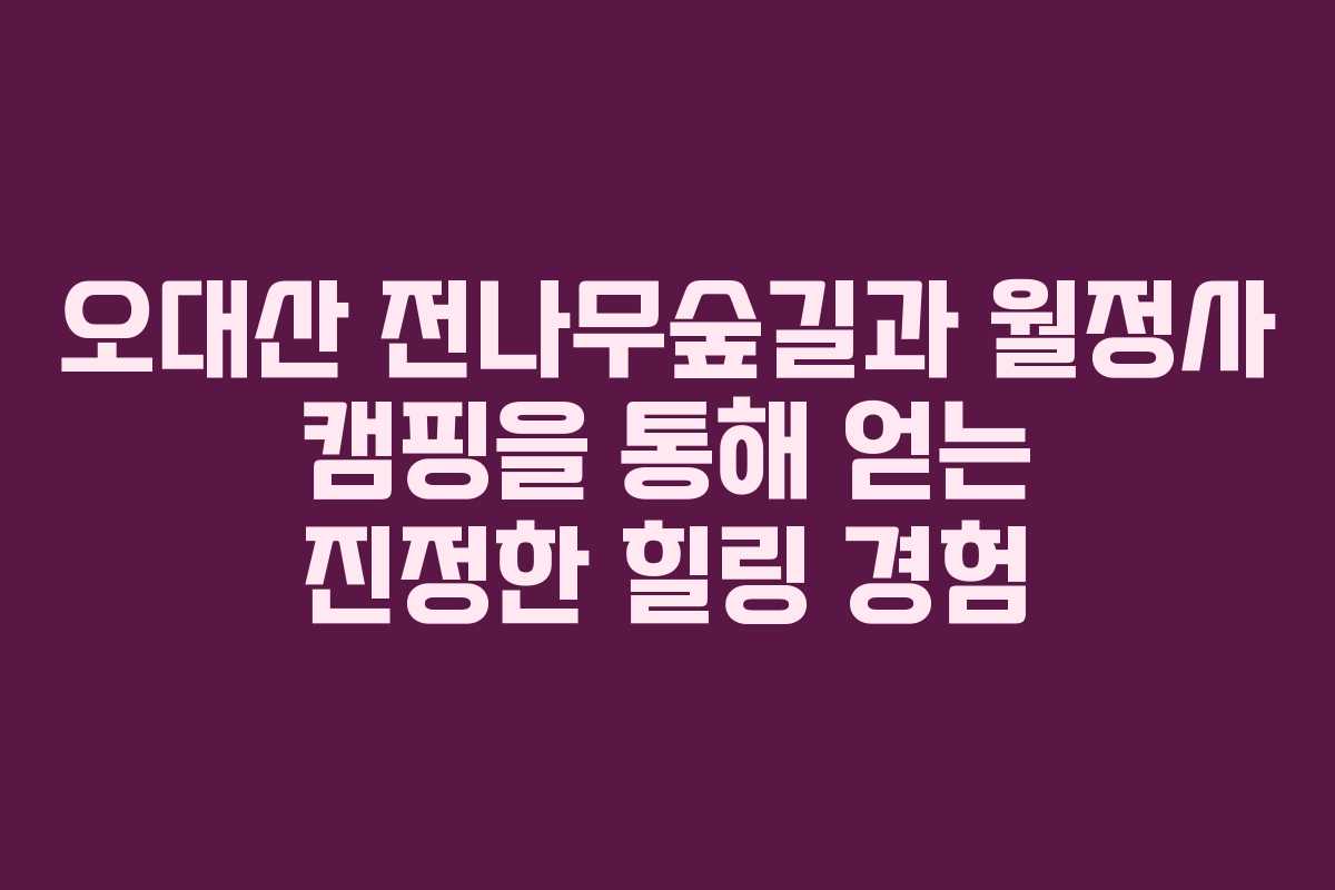 오대산 전나무숲길과 월정사 캠핑을 통해 얻는 진정한 힐링 경험