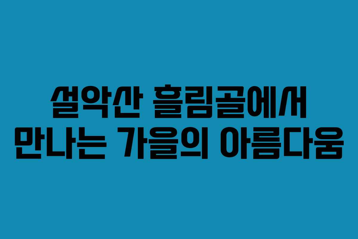 설악산 흘림골에서 만나는 가을의 아름다움