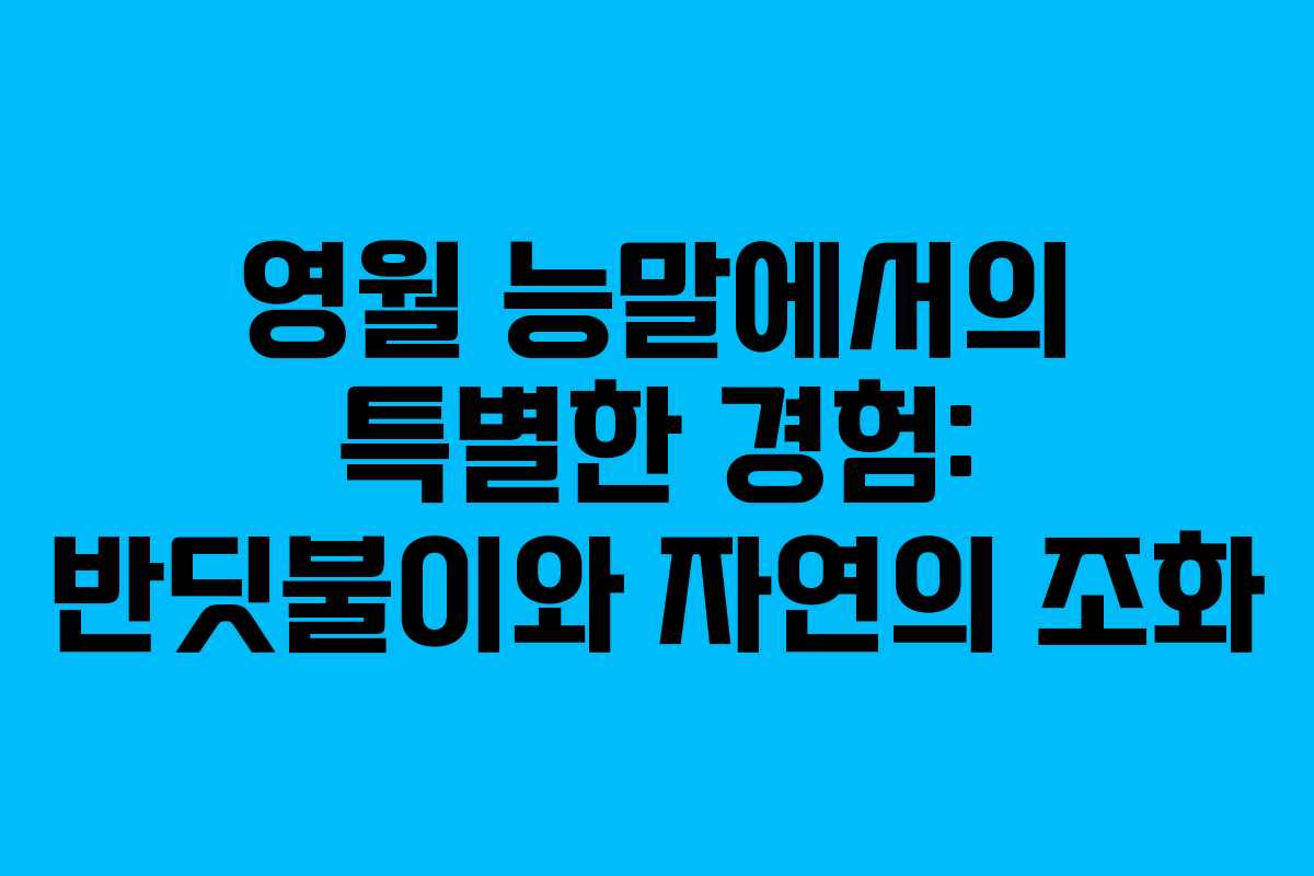 영월 능말에서의 특별한 경험: 반딧불이와 자연의 조화