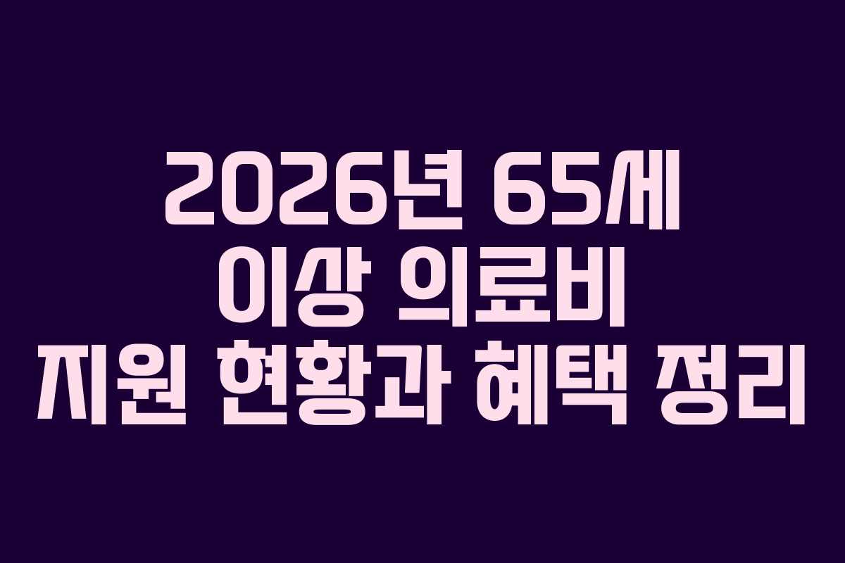 2026년 65세 이상 의료비 지원 현황과 혜택 정리