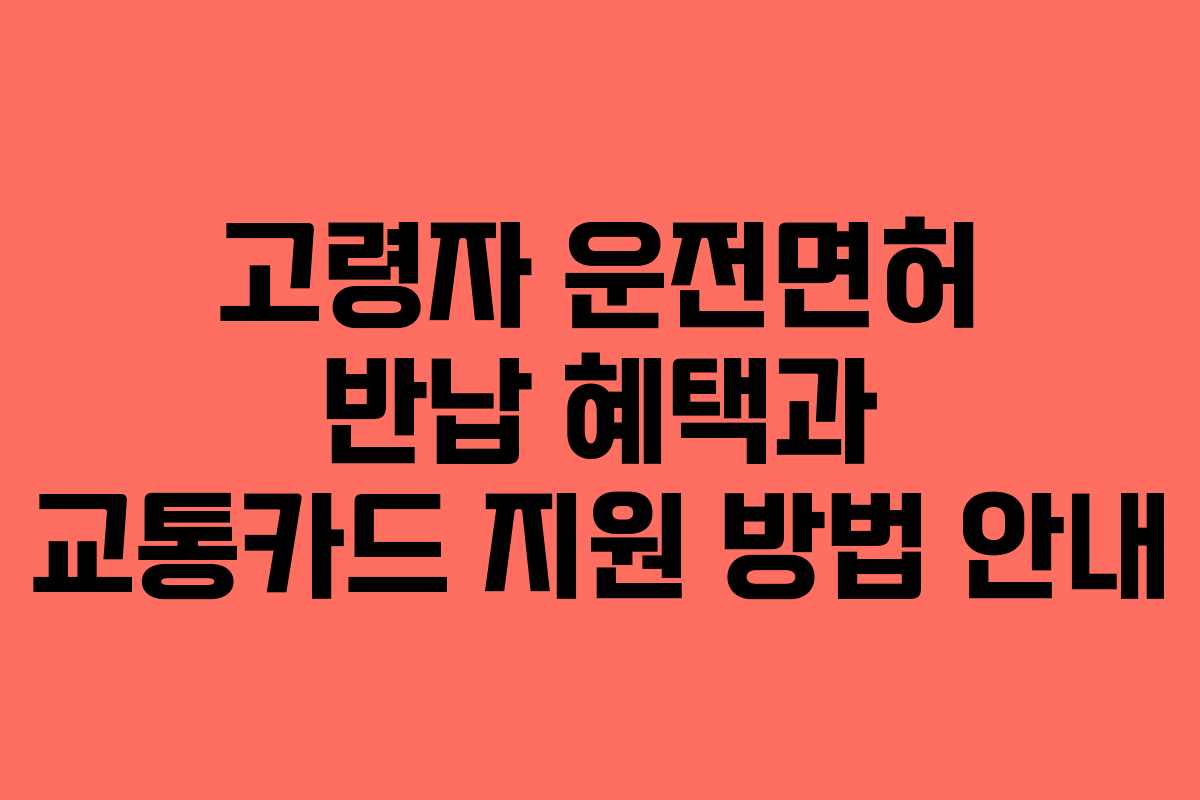 고령자 운전면허 반납 혜택과 교통카드 지원 방법 안내