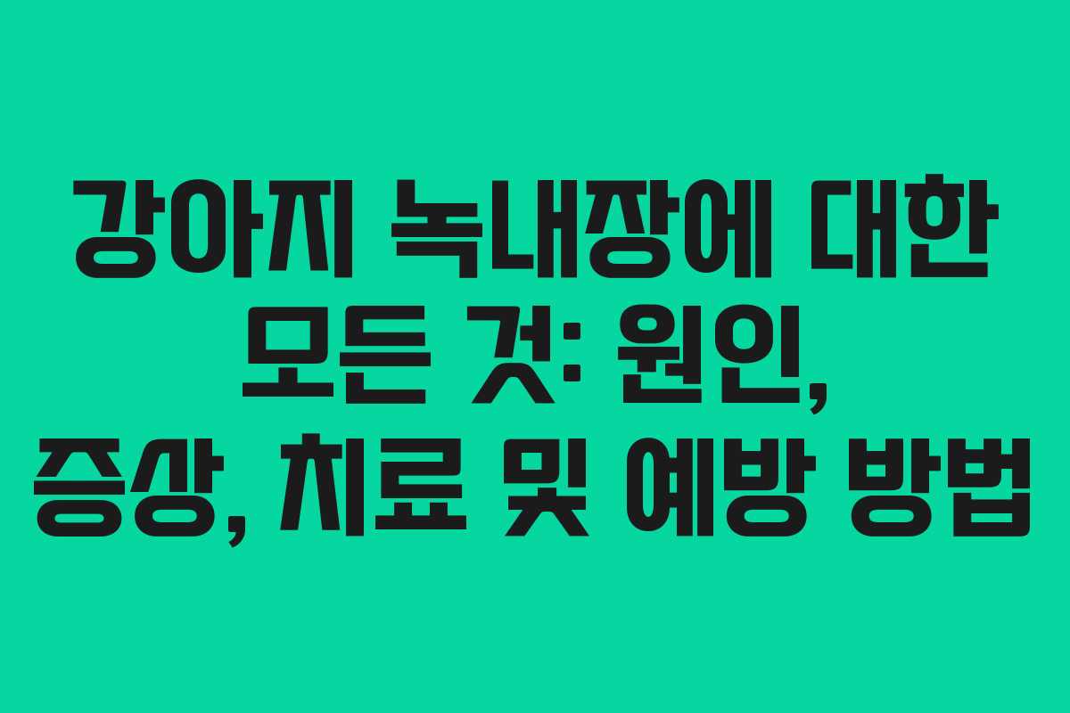 강아지 녹내장에 대한 모든 것: 원인, 증상, 치료 및 예방 방법