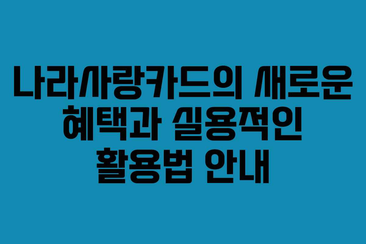 나라사랑카드의 새로운 혜택과 실용적인 활용법 안내