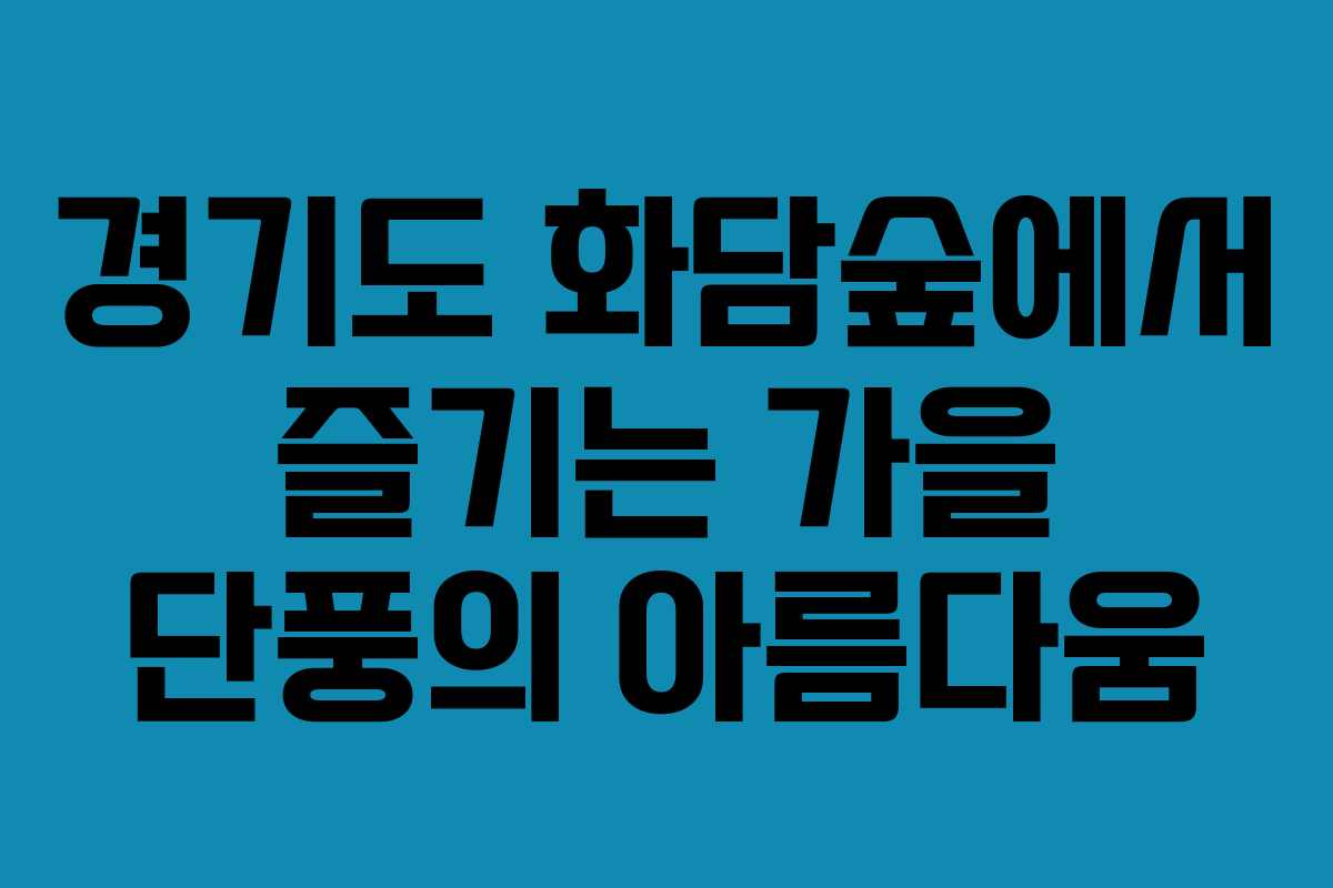 경기도 화담숲에서 즐기는 가을 단풍의 아름다움