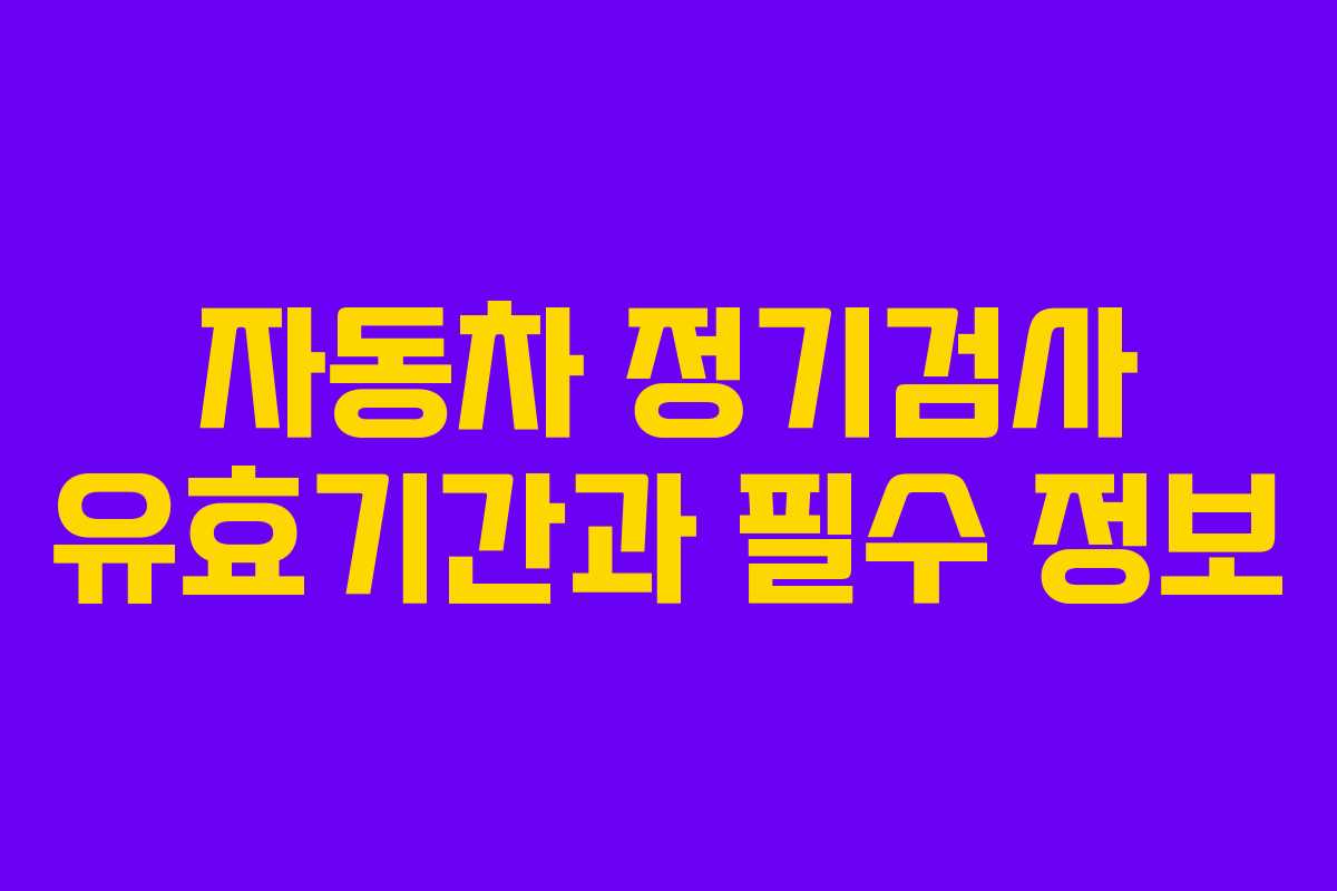 자동차 정기검사 유효기간과 필수 정보