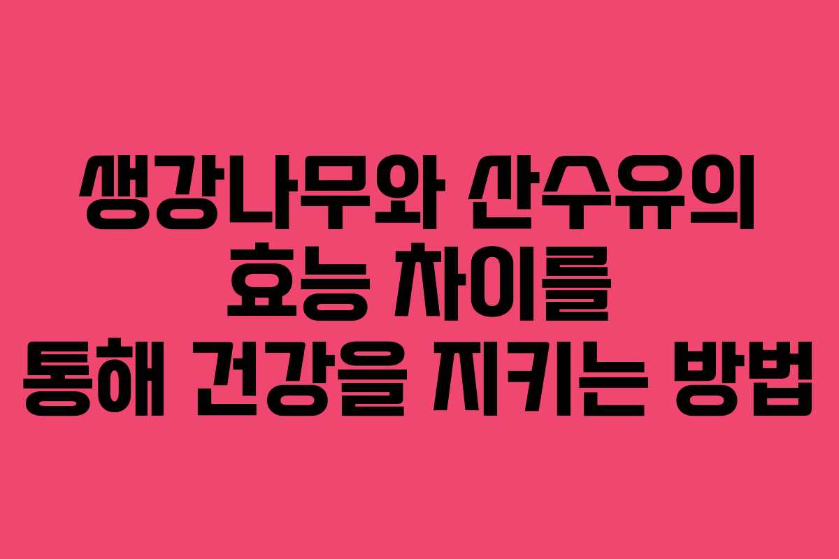 생강나무와 산수유의 효능 차이를 통해 건강을 지키는 방법