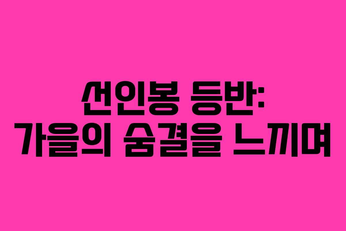 선인봉 등반: 가을의 숨결을 느끼며