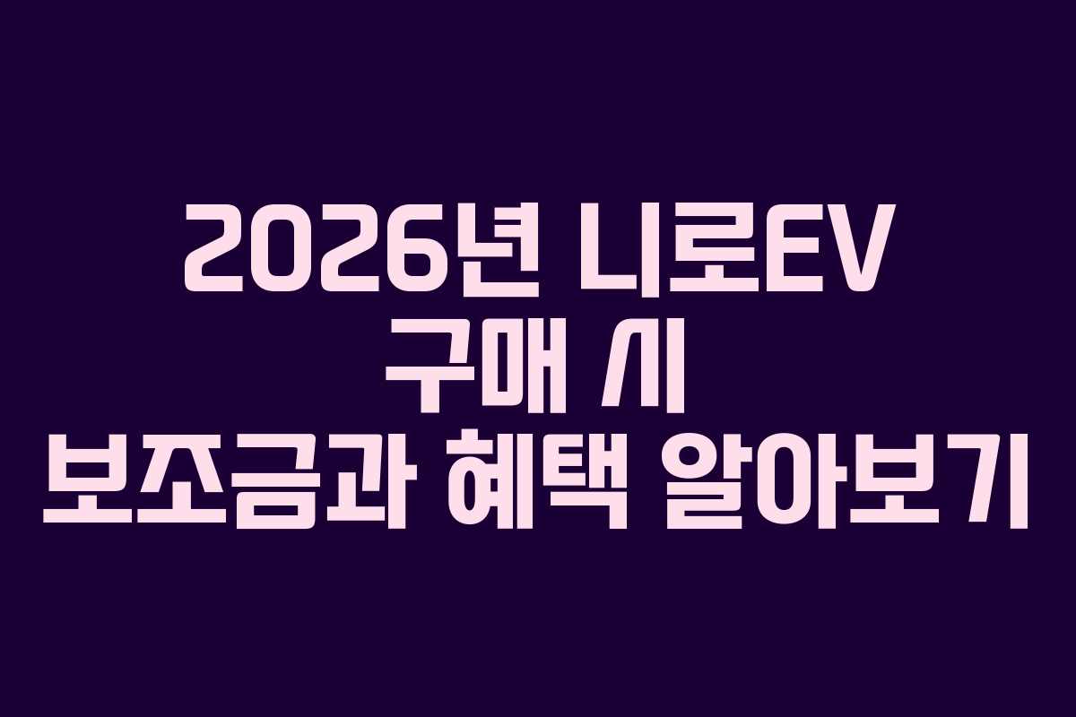 2026년 니로EV 구매 시 보조금과 혜택 알아보기