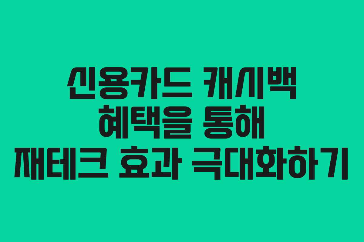 신용카드 캐시백 혜택을 통해 재테크 효과 극대화하기