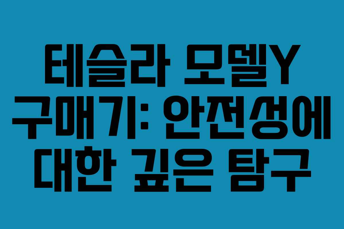 테슬라 모델Y 구매기: 안전성에 대한 깊은 탐구