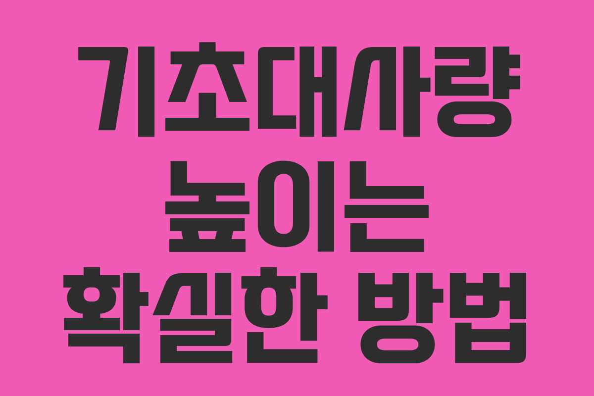 기초대사량 높이는 확실한 방법