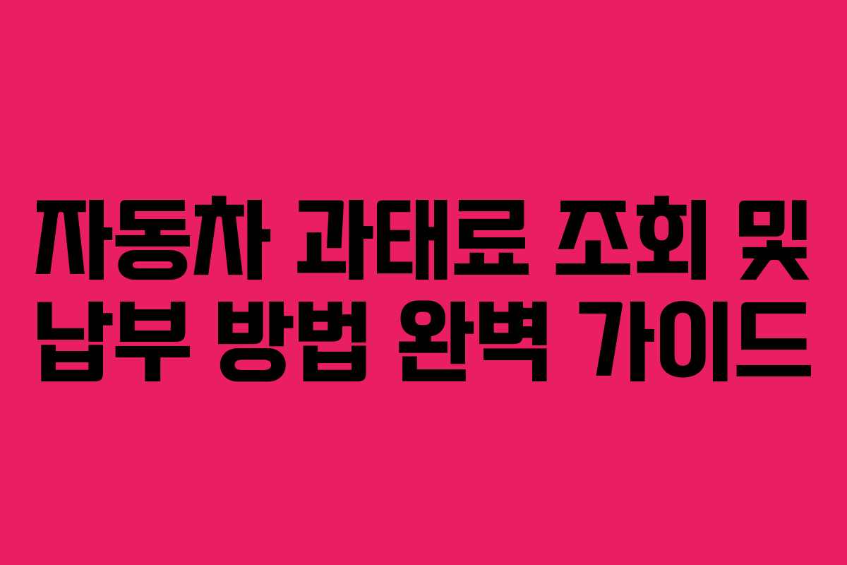 자동차 과태료 조회 및 납부 방법 완벽 가이드