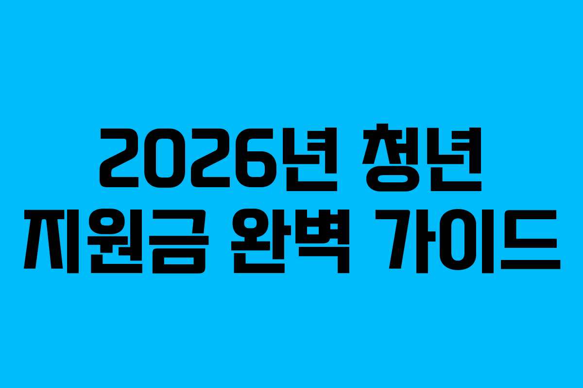 2026년 청년 지원금 완벽 가이드