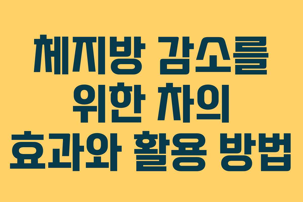 체지방 감소를 위한 차의 효과와 활용 방법