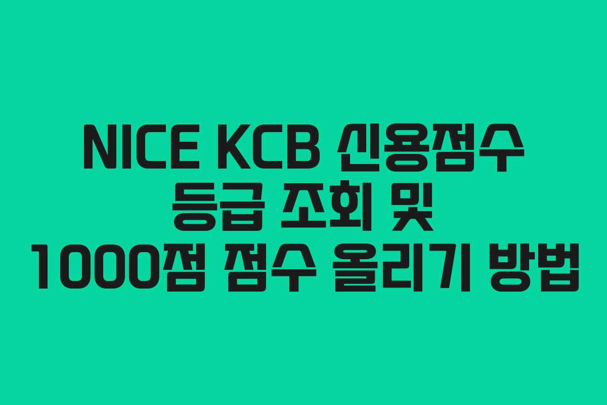 NICE KCB 신용점수 등급 조회 및 1000점 점수 올리기 방법