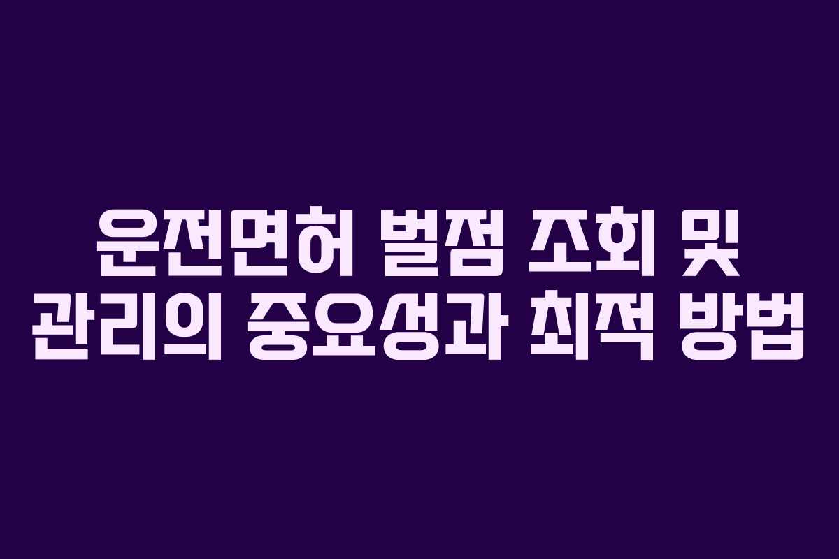 운전면허 벌점 조회 및 관리의 중요성과 최적 방법