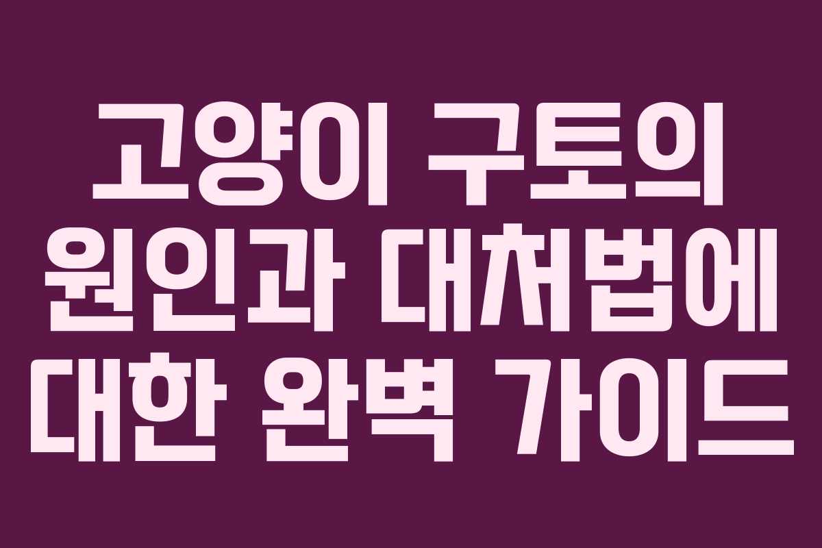고양이 구토의 원인과 대처법에 대한 완벽 가이드