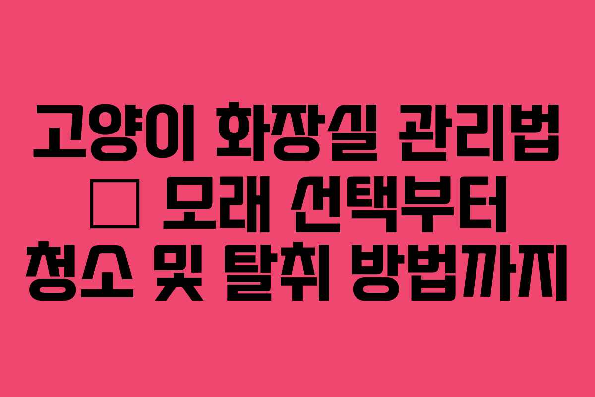 고양이 화장실 관리법 – 모래 선택부터 청소 및 탈취 방법까지