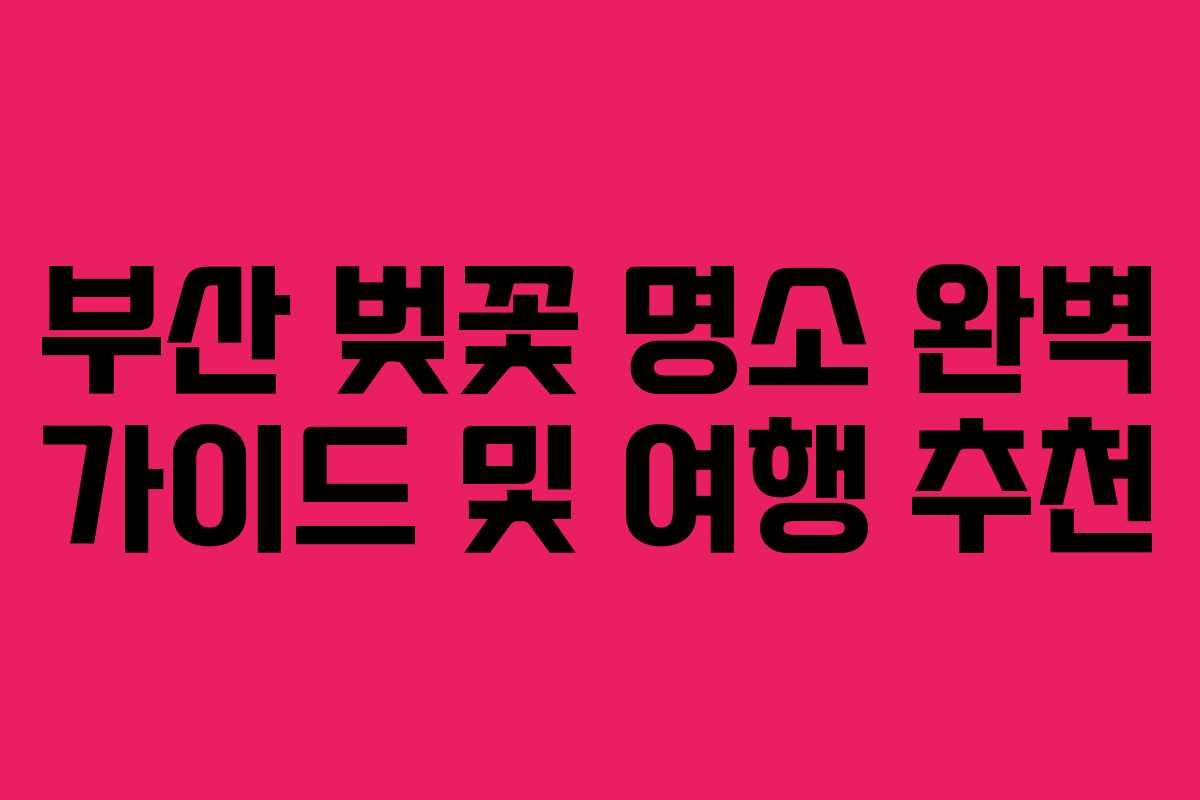 부산 벚꽃 명소 완벽 가이드 및 여행 추천