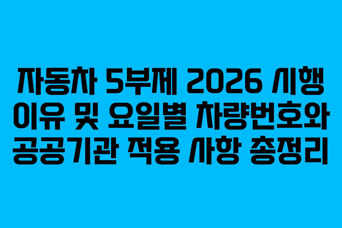 자동차 5부제 2026 시행 이유 및 요일별 차량번호와 공공기관 적용 사항 총정리