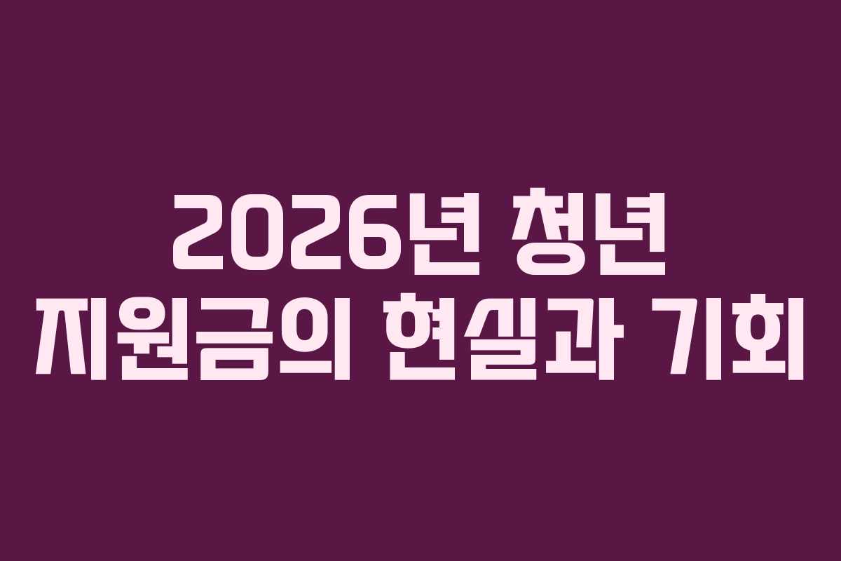 2026년 청년 지원금의 현실과 기회