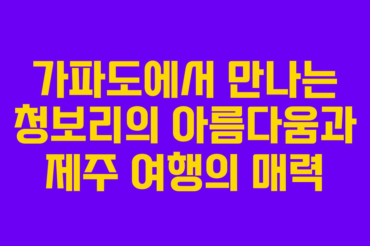 가파도에서 만나는 청보리의 아름다움과 제주 여행의 매력