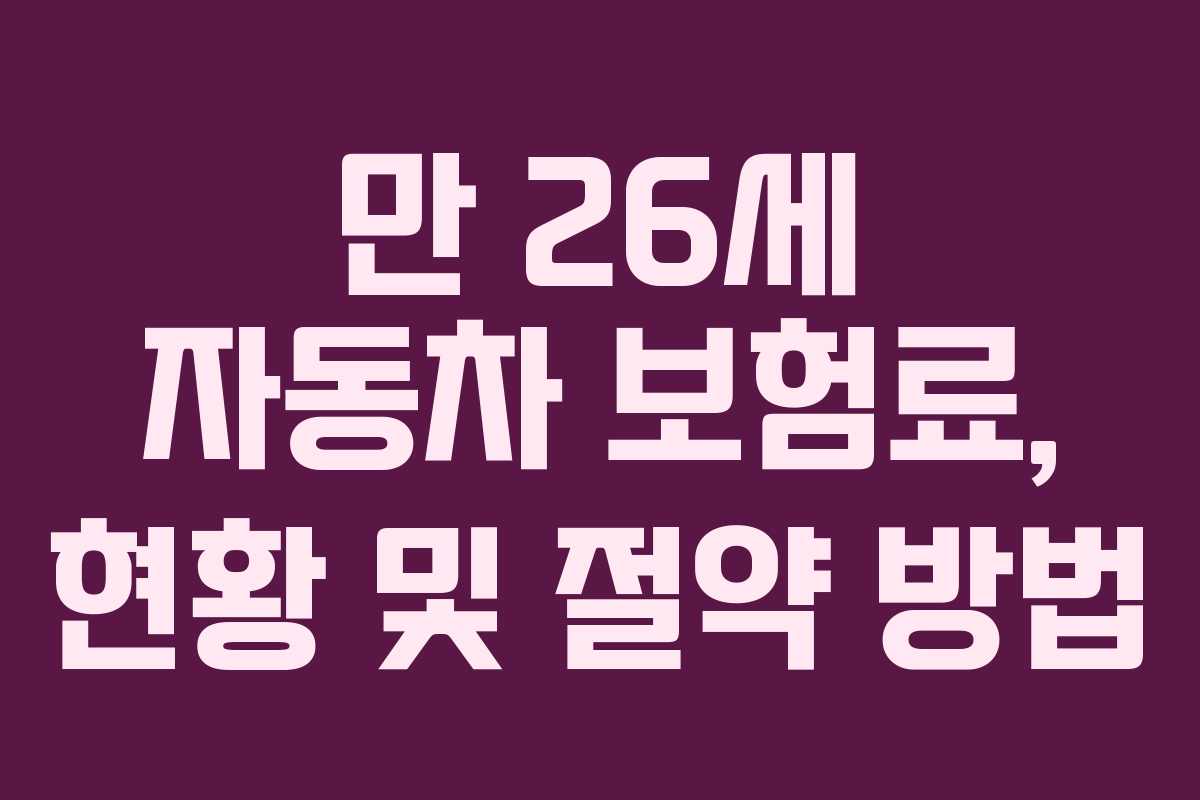 만 26세 자동차 보험료, 현황 및 절약 방법