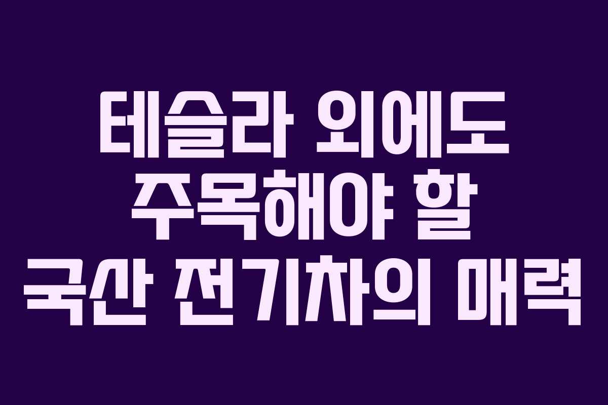 테슬라 외에도 주목해야 할 국산 전기차의 매력