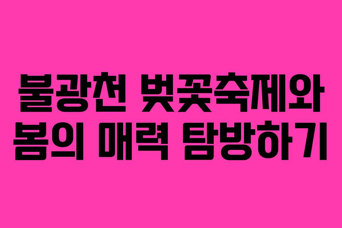 불광천 벚꽃축제와 봄의 매력 탐방하기